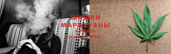 ПСИЛОЦИБИНОВЫЕ ГРИБЫ Алзамай