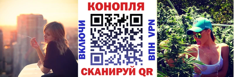 где купить наркоту Кондопога Шишки марихуана планчик